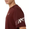 ASICS ICON SHORT SLEEVE TOP