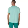 ASICS SILVER SHORT SLEEVE TOP