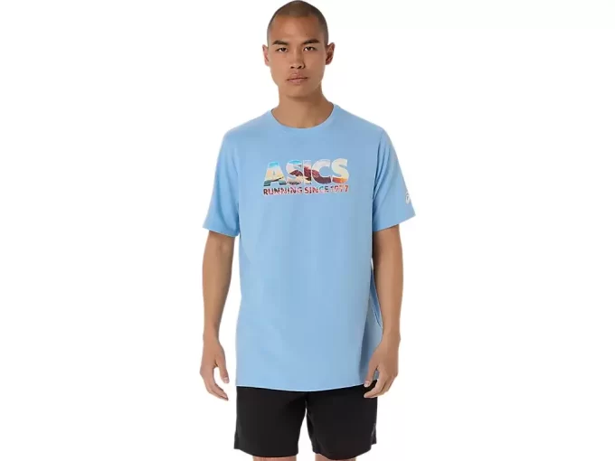 BLOSSOMING FUJI TEE BLOSSOMING FUJI TEE