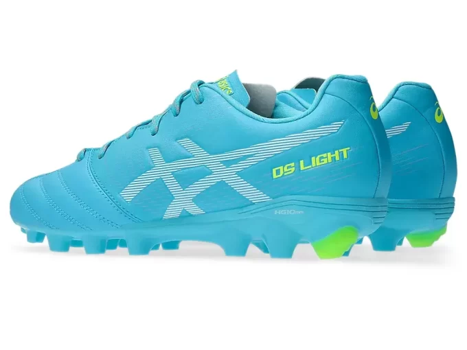 DS LIGHT JR GRADE SCHOOL