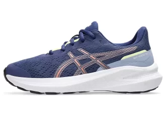 GT-1000 13 GRADE SCHOOL